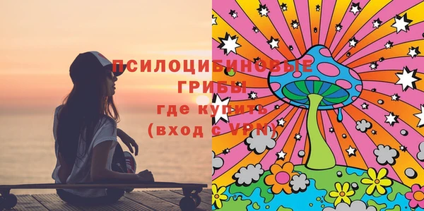 ГАЛЛЮЦИНОГЕННЫЕ ГРИБЫ Балахна