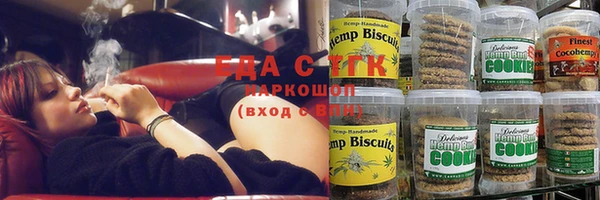 ГАЛЛЮЦИНОГЕННЫЕ ГРИБЫ Балахна