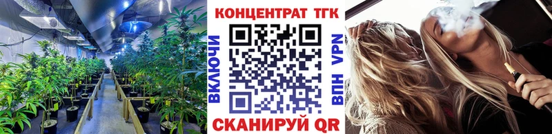 Купить закладки  Нерехта  ТГК концентрат 