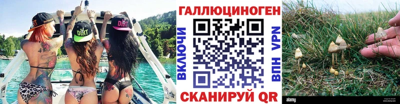 Купить закладки  Нерехта  Псилоцибиновые грибы Magic Shrooms 