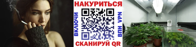 Купить закладки  Нерехта  Каннабис семена 